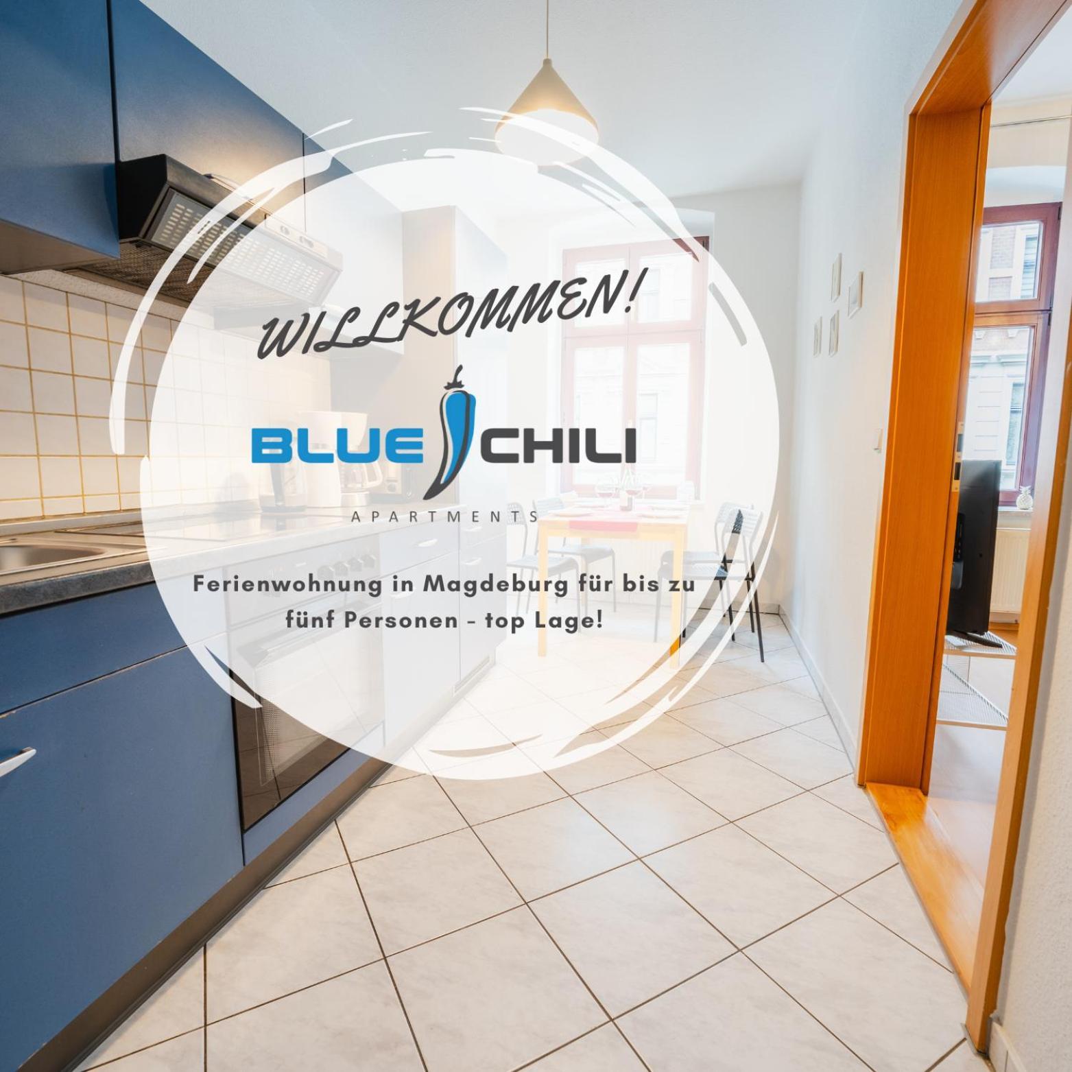 Blue Chili 08 - Magdeburg 2-Zimmer Altbau, Wi-Fi, 5 Pax Luaran gambar